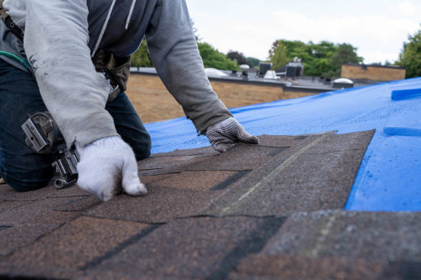 Quick and Trustworthy Emergency Roof Repair Services in Fairview Ferndale, PA